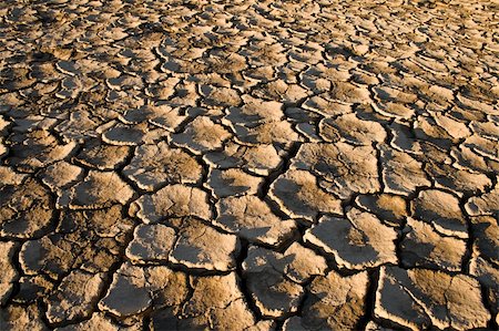 earth surface arid - The soil in the fissures appeared on the long-term heat Stock Photo - Budget Royalty-Free & Subscription, Code: 400-05317148