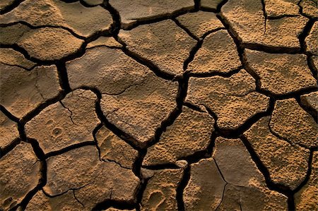 simsearch:400-05292342,k - Cracked by the heat long lifeless soil Stock Photo - Budget Royalty-Free & Subscription, Code: 400-05317140
