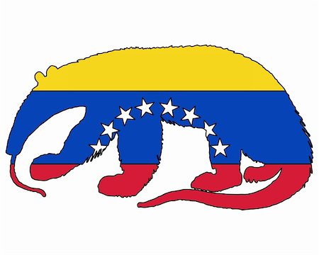 simsearch:400-05317916,k - Anteater  Venezuela Stock Photo - Budget Royalty-Free & Subscription, Code: 400-05317897