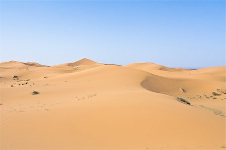simsearch:400-06100677,k - the desert after rainfall, even there vegetation exists Photographie de stock - Aubaine LD & Abonnement, Code: 400-05318332