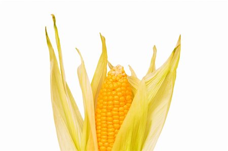 simsearch:400-04243170,k - Corn cob isolated on the white background Stock Photo - Budget Royalty-Free & Subscription, Code: 400-05318983