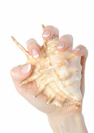 simsearch:400-06061806,k - Beautiful hand with perfect french manicure on treated nails holding sea shell. isolated on white background Stock Photo - Budget Royalty-Free & Subscription, Code: 400-05319591