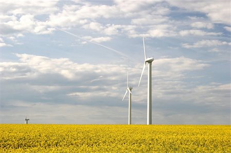 simsearch:400-04736931,k - Wind farm with rape field Foto de stock - Super Valor sin royalties y Suscripción, Código: 400-05310133