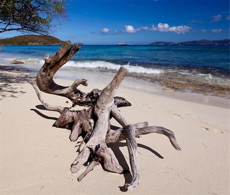 simsearch:400-04317718,k - Hawksnest Bay on the Caribbean island of St John in the US Virgin Islands Photographie de stock - Aubaine LD & Abonnement, Code: 400-05310230