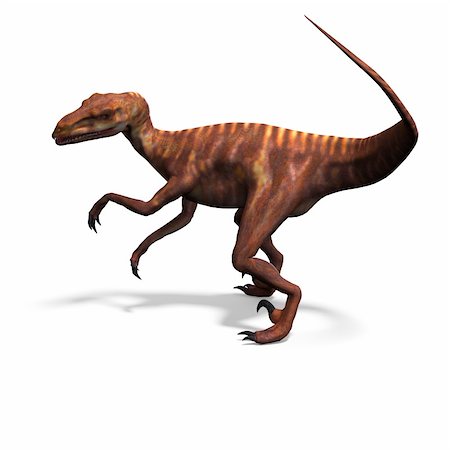 simsearch:400-04818670,k - Dinosaur Deinonychus. 3D rendering with clipping path and shadow over white Foto de stock - Royalty-Free Super Valor e Assinatura, Número: 400-05310255