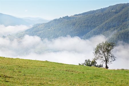 simsearch:400-07932789,k - beautiful mountain landscape with fog in valley Stock Photo - Budget Royalty-Free & Subscription, Code: 400-05310739