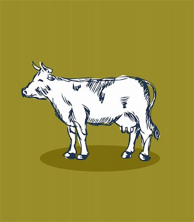 dairy cow head - Vector cow Stock Photo - Budget Royalty-Free & Subscription, Code: 400-05311543