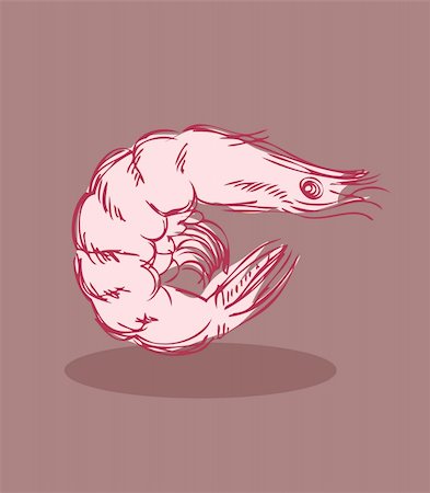 Shrimp vector illustration Stock Photo - Budget Royalty-Free & Subscription, Code: 400-05311615