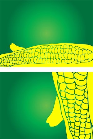 simsearch:400-04360457,k - Corn,Fresh vegetable background, presentation layout Photographie de stock - Aubaine LD & Abonnement, Code: 400-05311690