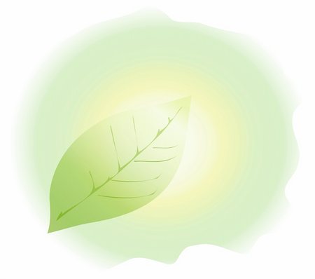 simsearch:400-04739592,k - Vector green leaf, floral background, sun backdrop Stock Photo - Budget Royalty-Free & Subscription, Code: 400-05311740