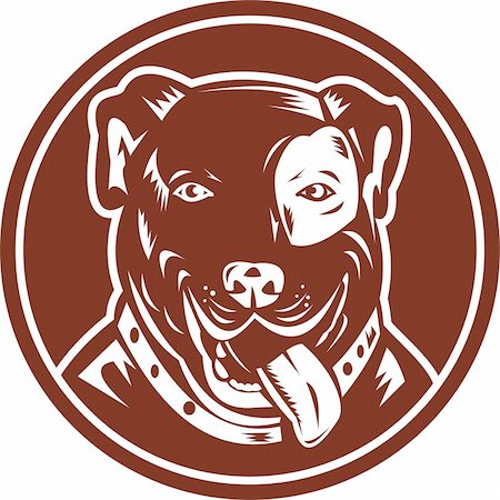 illustration of an American Pit bull Terrier set inside a circle Stock Photo - Budget Royalty-Free & Subscription, Code: 400-05312659