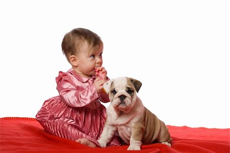 Baby and puppy of english bulldog on red blancket isolated on white Stock Photo - Budget Royalty-Free & Subscription, Code: 400-05313087