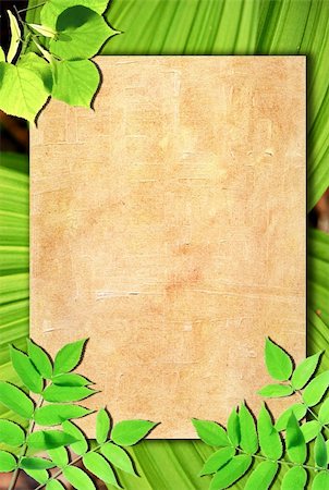 simsearch:400-06068658,k - Old paper background with green leaves Stock Photo - Budget Royalty-Free & Subscription, Code: 400-05313217