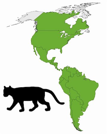 felis concolor - Cougar range map Stock Photo - Budget Royalty-Free & Subscription, Code: 400-05324962