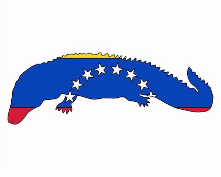 Caiman Venezuela Stock Photo - Budget Royalty-Free & Subscription, Code: 400-05325039