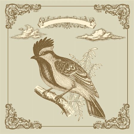 Retro card with bird Stock Photo - Budget Royalty-Free & Subscription, Code: 400-05325834