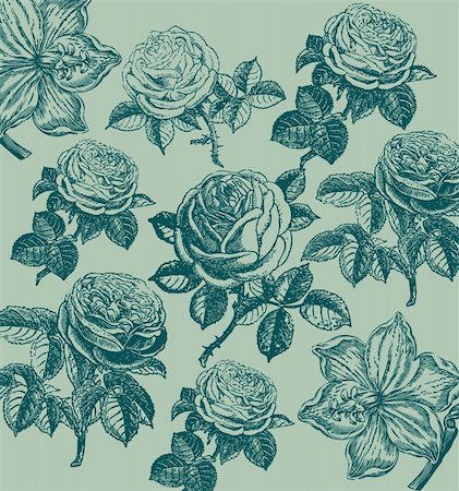 rose vector - Classical wall-paper with a flower pattern. Fragment Foto de stock - Super Valor sin royalties y Suscripción, Código: 400-05326024