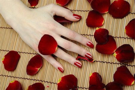 Beautiful hand with perfect nail red manicure and rose petals. Stock Photo - Budget Royalty-Free & Subscription, Code: 400-05326084