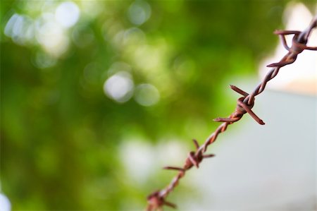 simsearch:400-05300192,k - Close-up rust barbed wire Stock Photo - Budget Royalty-Free & Subscription, Code: 400-05328952