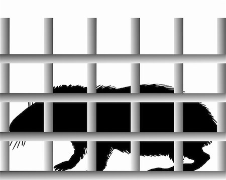 Guinea pig in cage Photographie de stock - Aubaine LD & Abonnement, Code: 400-05329160