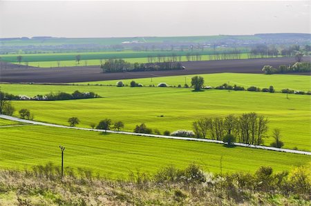simsearch:400-08021784,k - Beautiful agricultural landscape in early spring day Foto de stock - Super Valor sin royalties y Suscripción, Código: 400-05329201