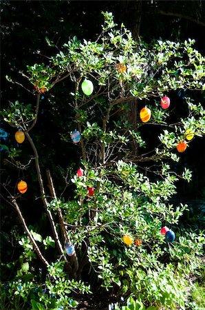 franky242 (artist) - Easter tree decorated with colored eggs in spring sun Fotografie stock - Microstock e Abbonamento, Codice: 400-05329380