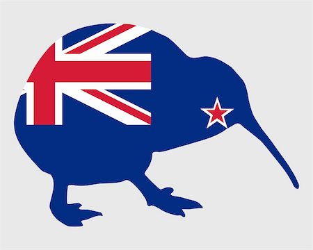 New Zealand kiwi Stock Photo - Budget Royalty-Free & Subscription, Code: 400-05329395