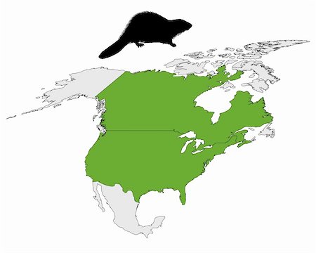 Distribution of canadian beaver Stockbilder - Microstock & Abonnement, Bildnummer: 400-05329438