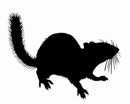 Chipmunk silhouette Stock Photo - Budget Royalty-Free & Subscription, Code: 400-05329489