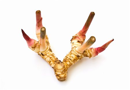 simsearch:400-06358844,k - galangal or chinese ginger isolated on white background. Photographie de stock - Aubaine LD & Abonnement, Code: 400-05320968