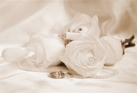 simsearch:628-02615764,k - wedding rings and roses can use as background Stockbilder - Microstock & Abonnement, Bildnummer: 400-05321157