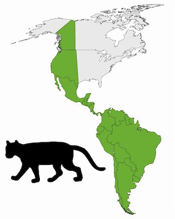 felis concolor - Cougar range map Stock Photo - Budget Royalty-Free & Subscription, Code: 400-05321869