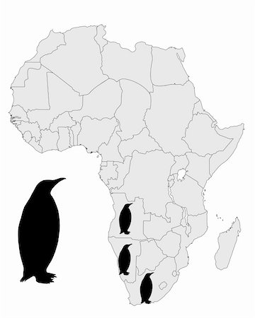 simsearch:400-05321862,k - African penguin range Stock Photo - Budget Royalty-Free & Subscription, Code: 400-05321862