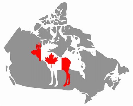 simsearch:400-05321950,k - Canadian moose Photographie de stock - Aubaine LD & Abonnement, Code: 400-05321953
