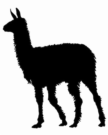 simsearch:400-05317916,k - Lama Silhouette Stock Photo - Budget Royalty-Free & Subscription, Code: 400-05321983