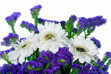 border of spring flowers on a white background Foto de stock - Royalty-Free Super Valor e Assinatura, Número: 400-05322467