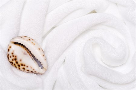 shell on white towels close up Foto de stock - Royalty-Free Super Valor e Assinatura, Número: 400-05322582