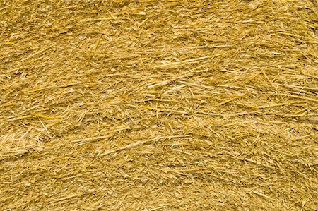 simsearch:400-07717781,k - image of pressed straw yellow color closeup Fotografie stock - Microstock e Abbonamento, Codice: 400-05323005