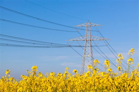 simsearch:400-07055373,k - Electricity Pilon in the Countryside on Spring Fotografie stock - Microstock e Abbonamento, Codice: 400-05323569