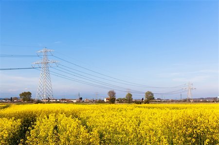 simsearch:400-07055373,k - Electricity Pilon in the Countryside on Spring Fotografie stock - Microstock e Abbonamento, Codice: 400-05323570