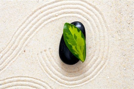 rock garden sand japanese - zen garden with black stones or roch and green leaves Stock Photo - Budget Royalty-Free & Subscription, Code: 400-05323687