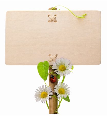 wooden green sign over a white background with daisies and ladybug and green leaves ladybird is over the post of the banner Stock Photo - Budget Royalty-Free & Subscription, Code: 400-05323706