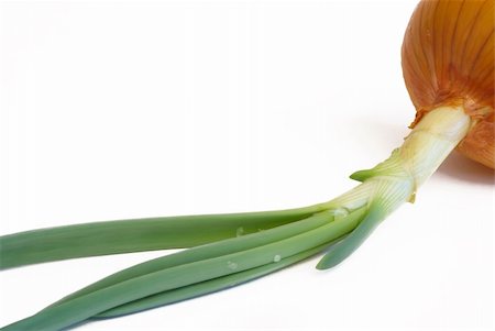 simsearch:400-04834620,k - onions with green sprouts on a white background Stock Photo - Budget Royalty-Free & Subscription, Code: 400-05323808