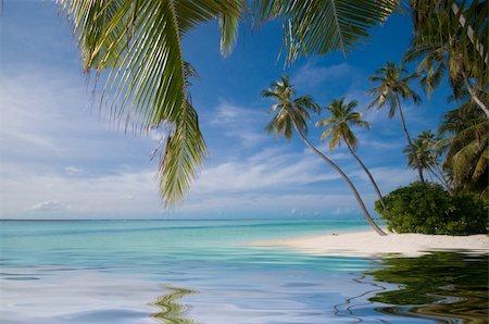 endhals (artist) - Tropical Island Fotografie stock - Microstock e Abbonamento, Codice: 400-05334031