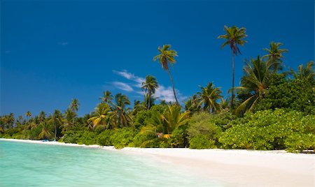 endhals (artist) - tropical beach Fotografie stock - Microstock e Abbonamento, Codice: 400-05334153