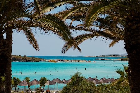 Beach view through the palms on swimming people in Cyprus Fotografie stock - Microstock e Abbonamento, Codice: 400-05334562