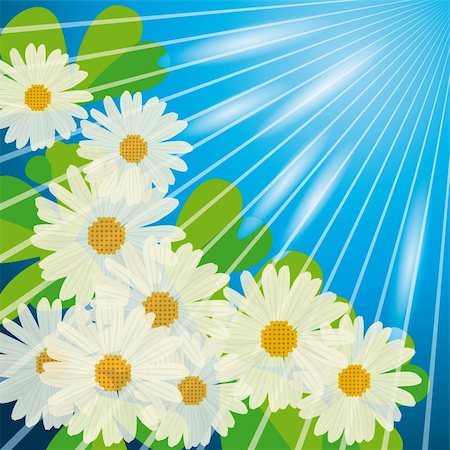 flower green color design wallpaper - White camomiles in the sunshine. Vector illustration. Vector art in Adobe illustrator EPS format, compressed in a zip file. The different graphics are all on separate layers so they can easily be moved or edited individually. The document can be scaled to any size without loss of quality. Stock Photo - Budget Royalty-Free & Subscription, Code: 400-05335329