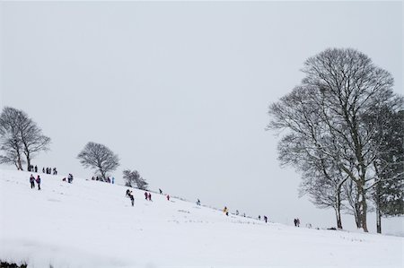 dogs and kids playing snow - Children playing in the snow sledging downhill Stock Photo - Budget Royalty-Free & Subscription, Code: 400-05335378