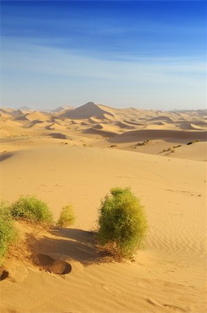 dene - desert dune silhouette background Stock Photo - Budget Royalty-Free & Subscription, Code: 400-05336452