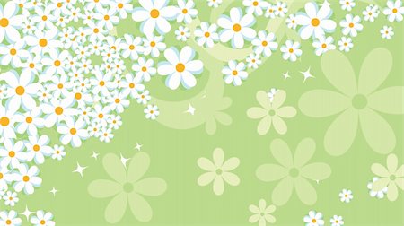 Cute floral background, Flower background, daisy Foto de stock - Royalty-Free Super Valor e Assinatura, Número: 400-05336797